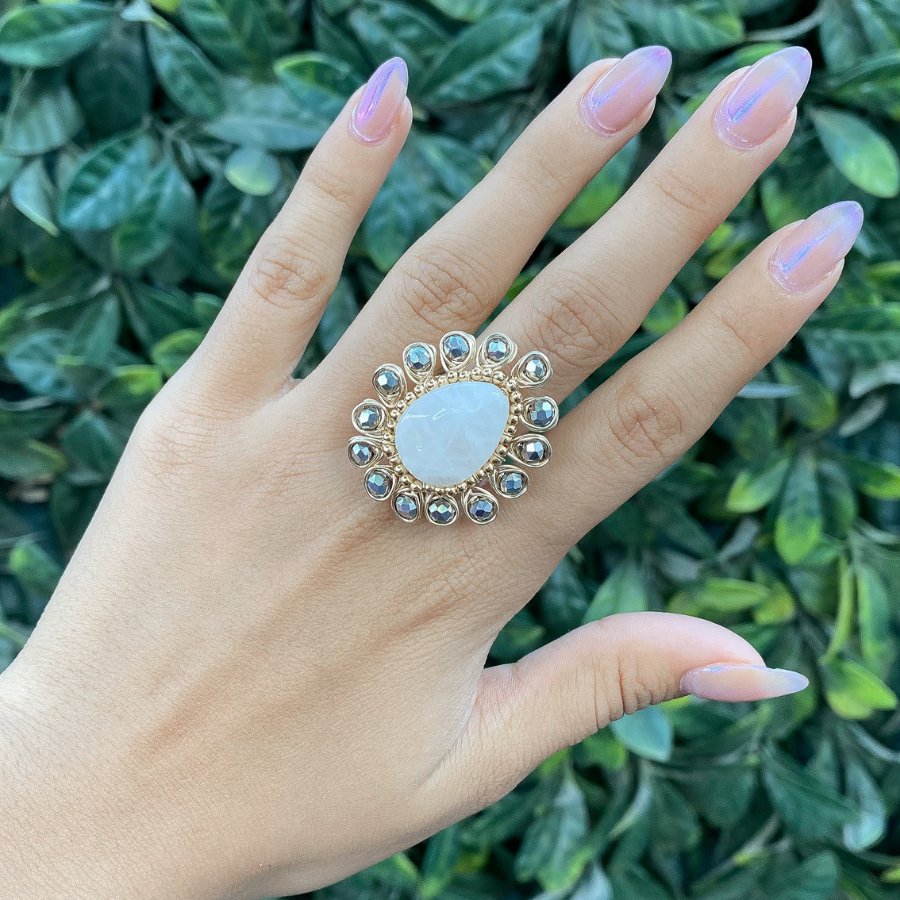 Curso en línea: Olivia